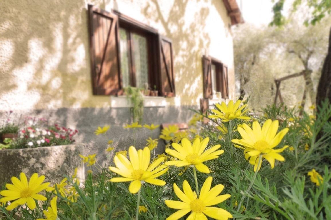 Agriturismo Macchiapiede Сала-Консіліна Екстер'єр фото